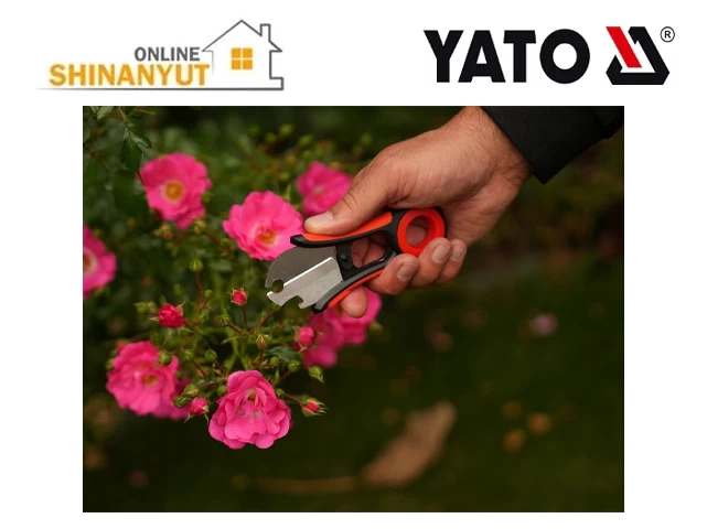 Ծաղկավաճառի կտրիչ+քերիչ վարդի փշերը հեռացնելեւ համար 205մմ YATO YT-87850