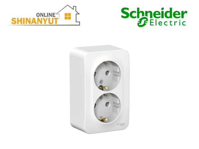 Արտաքին տեղադրման վարդակ 2 տեղ հողանցումով Schneider Blanca