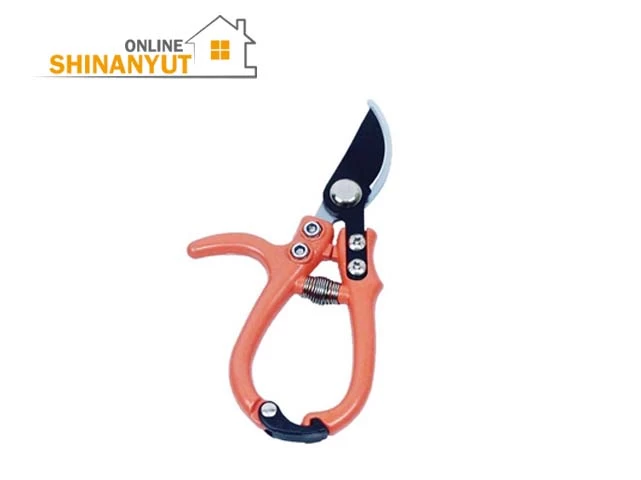 Սեկատր խաղողագործի