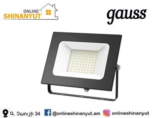 Պռաժեկտոր LED 1x100վտ Gauss 6500K 613100100